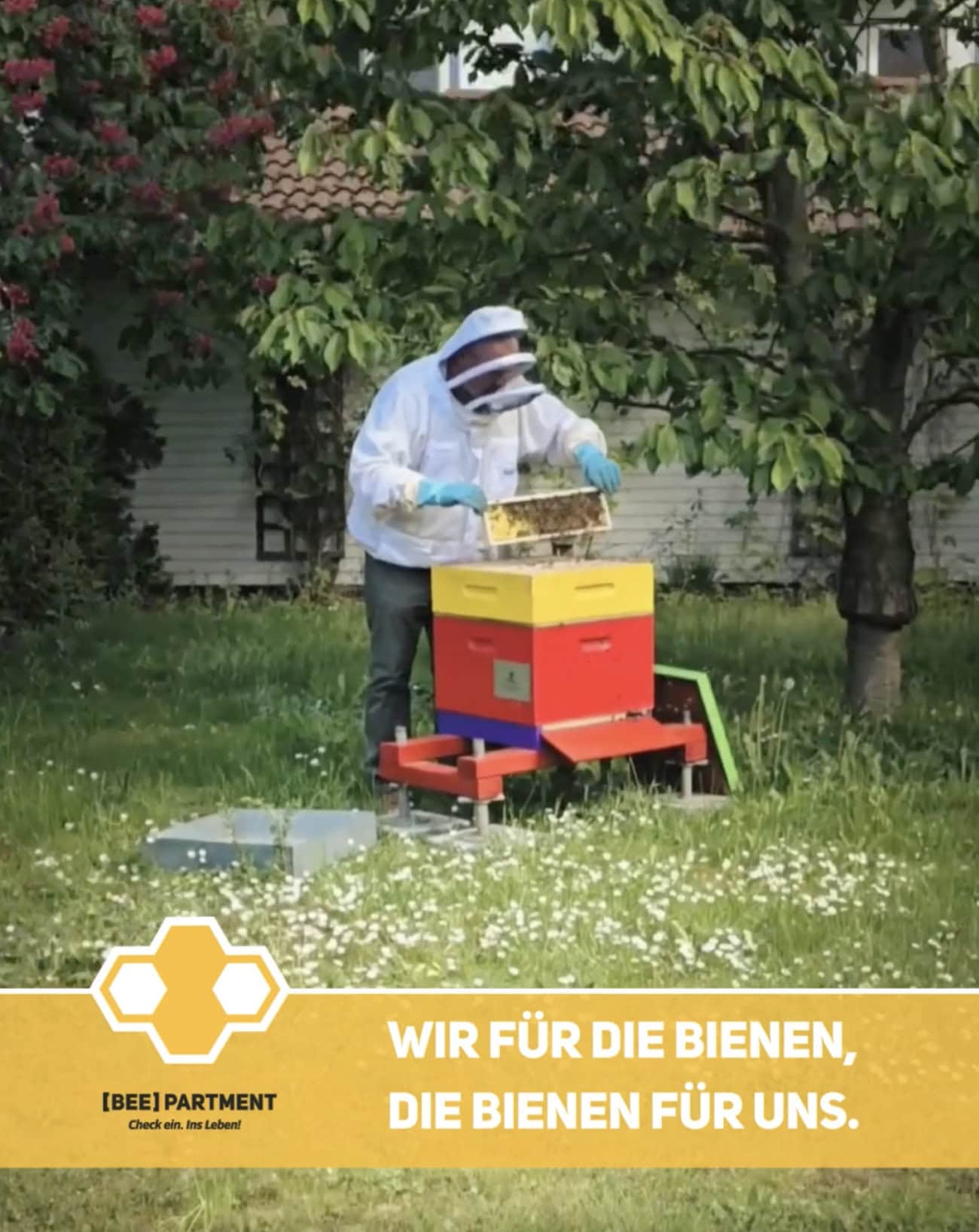 Bienenpatenschaft Berlin